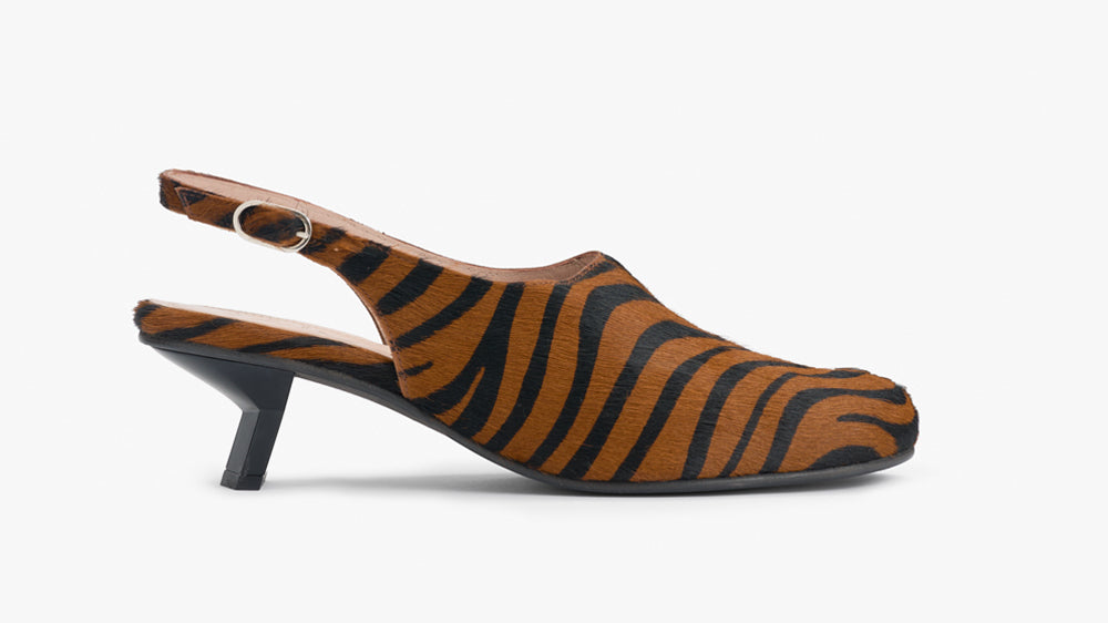 Coco pump zebra