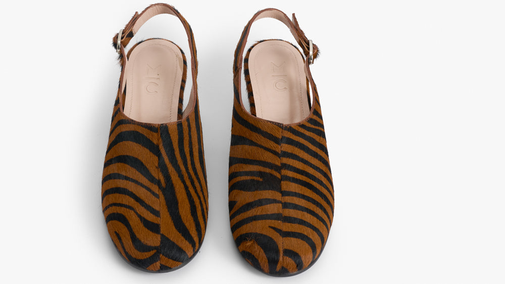 Coco pump zebra